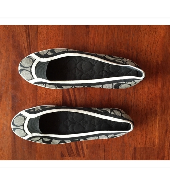 NEW AUTHENTIC COACH ALPINE FLAT SHOE TENNIS SIZE 6 - Picture 1 of 9